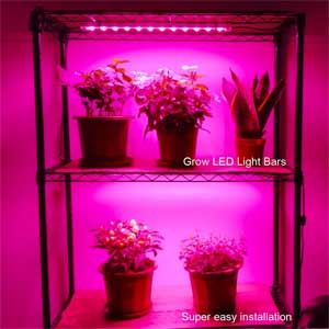 Simple, Easy to Install Grow Light Kit for Portable Greenhouse