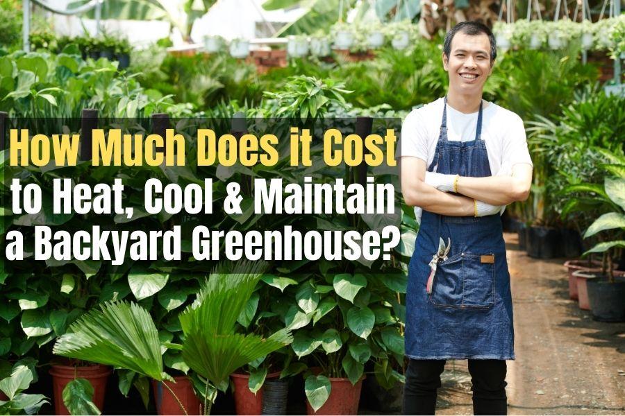 How Much Does it Cost to Maintain a Greenhouse?
