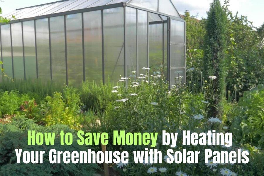 Heating Your Greenhouse with Solar Panels & How to Save Money