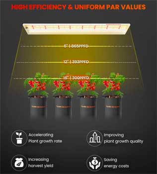 Energy Efficient LED Grow Light