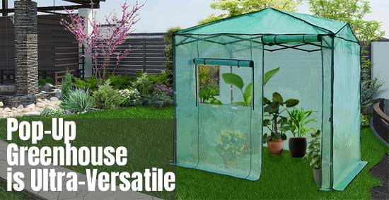 Versatile Portable Greenhouse for Backyard