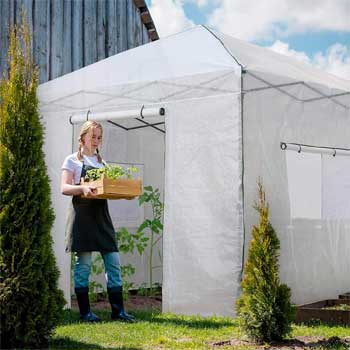 White Greenhouse Cover Helps Reflect Heat in Summer